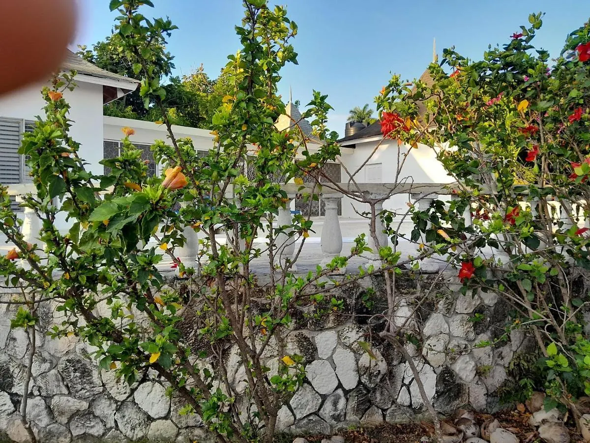 Villa Chinnor-Kent Ave Montego Bay 0*,  Jamajka